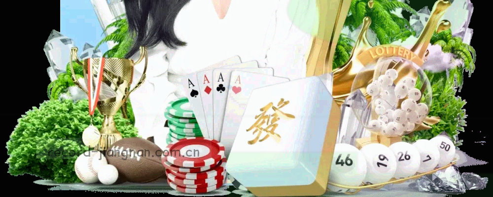 状态标签：已提交、处理中、已解决
